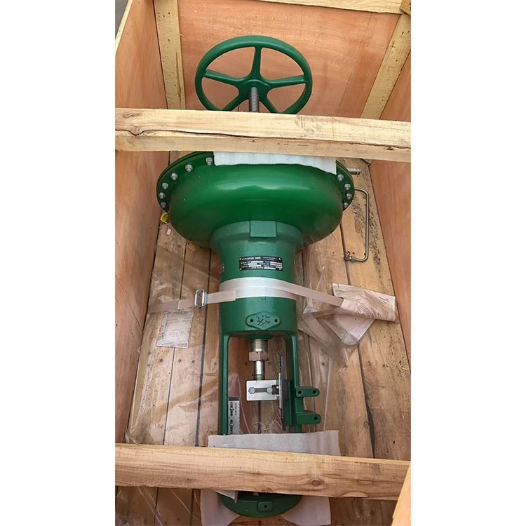globe control valve with pneumatic actuator